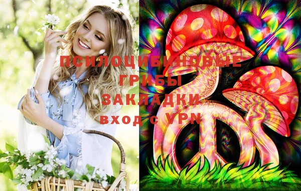 2c-b Богданович