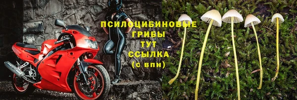 2c-b Богданович