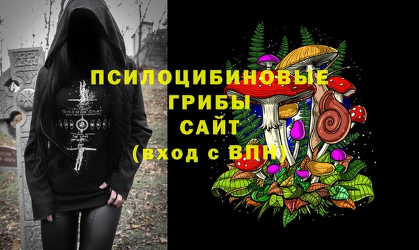 спиды Арсеньев