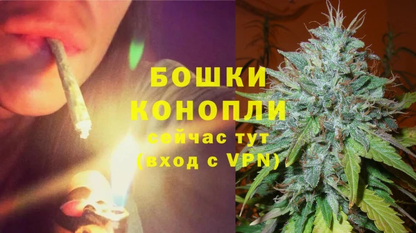 2c-b Богданович