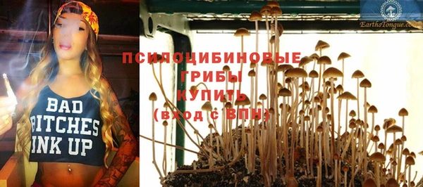 метадон Богородицк