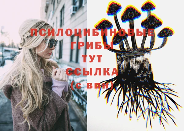 2c-b Богданович