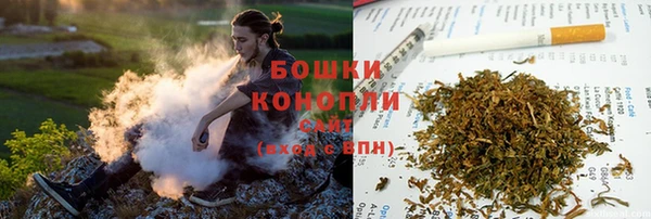 2c-b Богданович